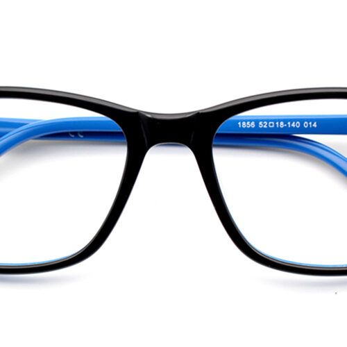 A1856 Black Blue Prescription Eyeglasses-0