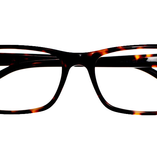 A6678 Plastic Eyeglasses -0