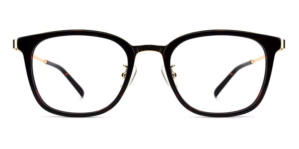 Jav02 Prescription Glasses-4546