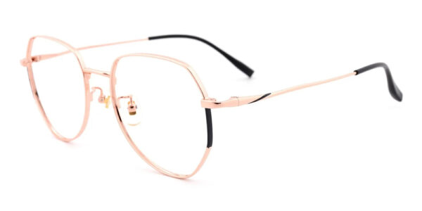 T1020 Pure Titamium Prescription Glasses Gold-8895