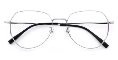 T1020 Pure Titanium Prescription Glasses Silver-0