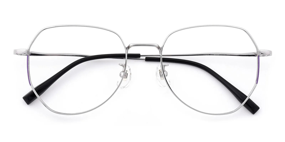 T1020 Pure Titanium Prescription Glasses Silver-0
